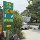 수성그린비 이미지