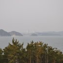 거제지심도