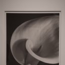 닻미술관 | 이모젠 커닝햄 사진전 후기 – 경기도 광주 닻미술관에서의 여름 산책