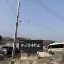 금성 | [제천 맛집] 금성제면소 솔직후기