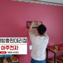 코르기니