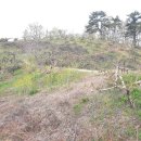 낙동강변27 이미지