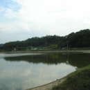 회네미 Daum카페
