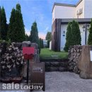 소보리애 이미지