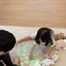 몽야 338 이미지