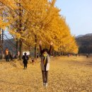 노오란펜션 이미지