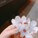 육풍 익산 부송점 이미지