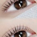 reve brow