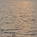 탑비디오 이미지