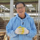 청정한우농장 이미지