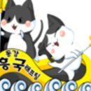 동강흥국래프팅
