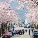 공마당길 이미지