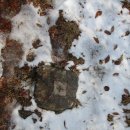 한정초교 이미지