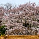 대영빌딩 3층 화장실 | [인천]중구 동인천 차이나타운 벚꽃 명당, 선셋 오션뷰카페 더 선셋 재방문후기