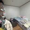 남성부동산중개인사무소 | 서울대입구역 원룸 계약 후기, 서울대입구역 여성전용 원룸 (하이부동산공인중개사사무소)