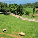 두곡목장 이미지