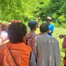 충주시치매안심센터 이미지