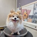 유스타 그루밍 이미지