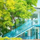 동백유원지 이미지