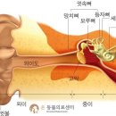 죽전동물병원 이미지