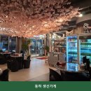 동하장식 | 부평 이자카야 동하 생선가게 분위기 좋은 한 맛집 소개 메뉴 라인업