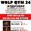 울프짐 이미지