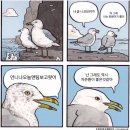 브런치 콘서트 - 봄의소리왈츠 | ㄴ그래 나는 니코가 좋아