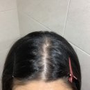 준헤어필 이미지