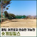 리얼숏게임-퍼팅 이미지