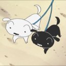 흰둥이 이미지