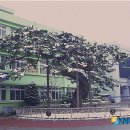 장수 농기계 임대사업장 이미지