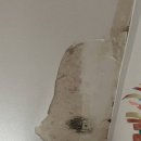 청솔약품 이미지