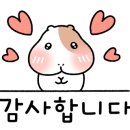 에이타운쌤