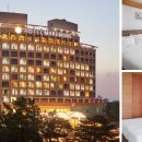 마레몬스관광호텔 | 마레몬스 호텔: 침대에서 일출 감상! 대포항 뷰 맛집 가성비 호텔 (솔직 후기)