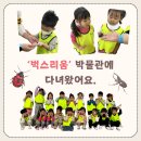 궁전유치원 이미지