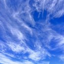 푸른하늘태권도장 이미지