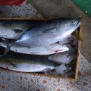 명선회식당 이미지