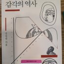 룩스신Lux-xhin | 감각의 역사 / 진중권