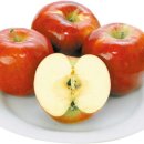 상해일품 이미지