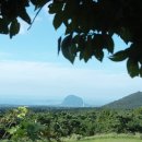 아라리미인탕 이미지