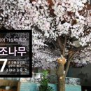 돌미상업로 이미지