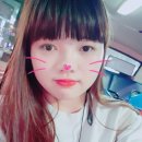 송백로-2 이미지