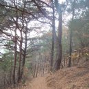 구례의길(지리산둘레길) 이미지