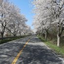 대동농협하나로마트 이미지