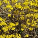 모두의 집사 이미지