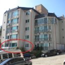 동조리젠시 이미지