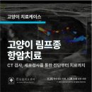 상암 진 동물의료센터 이미지