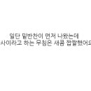 스타벅스 구로고척점 이미지