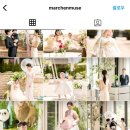 메르헨뮤즈 이미지