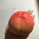 선우농장 | 눈 뜨자마자